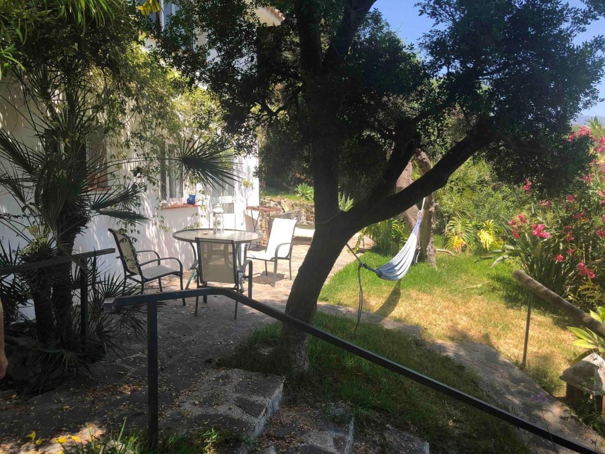 Casa Simba (adults Only) Gasthuis Estepona
