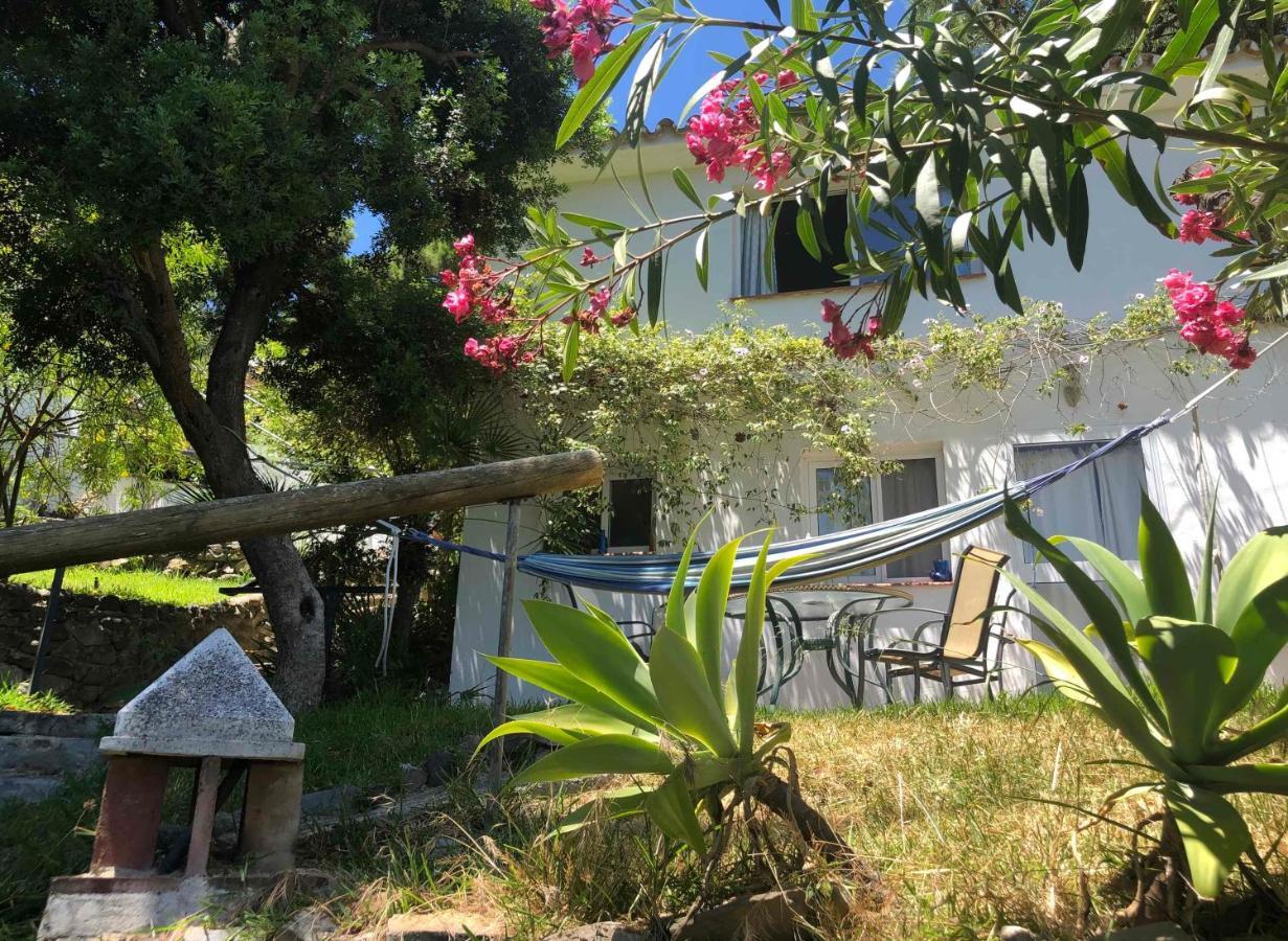 Casa Simba (adults Only) Gasthuis